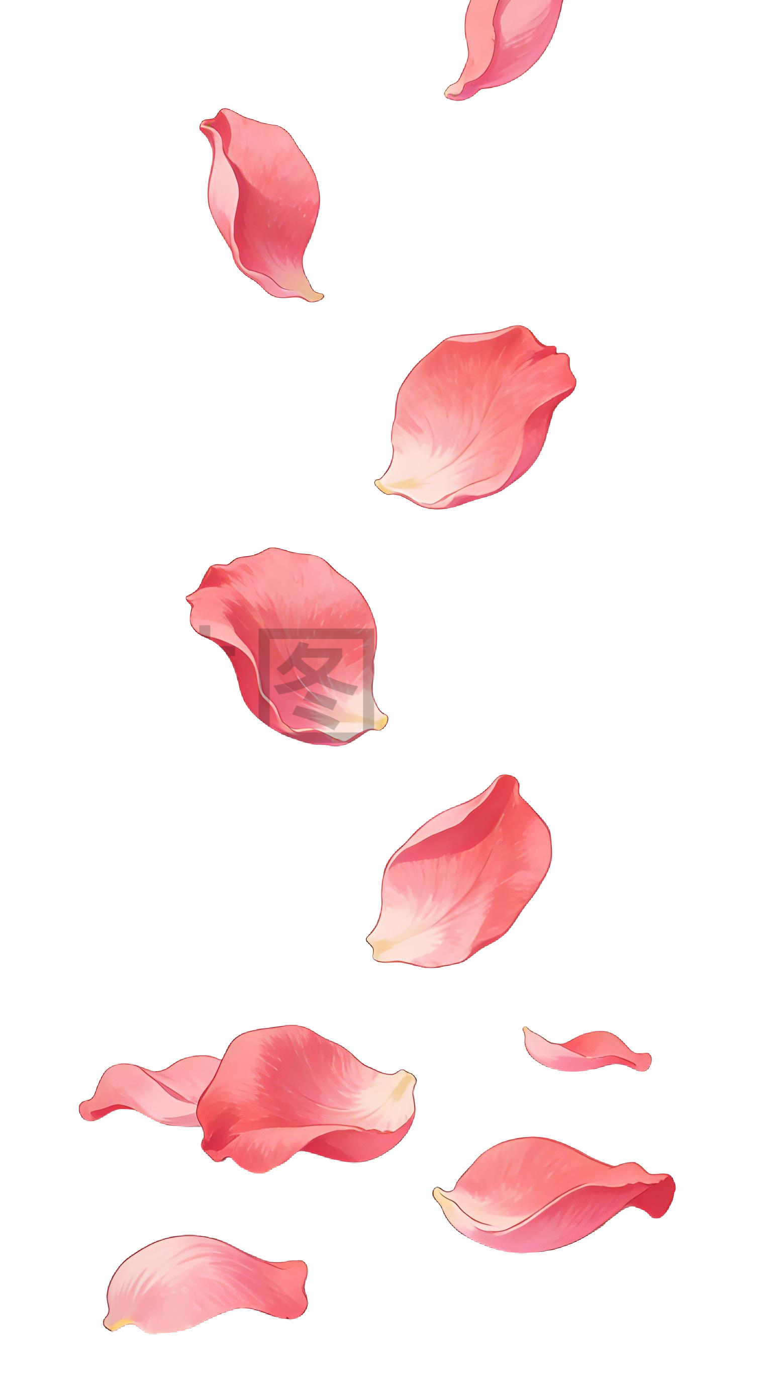 飘落的玫瑰花瓣插画元素