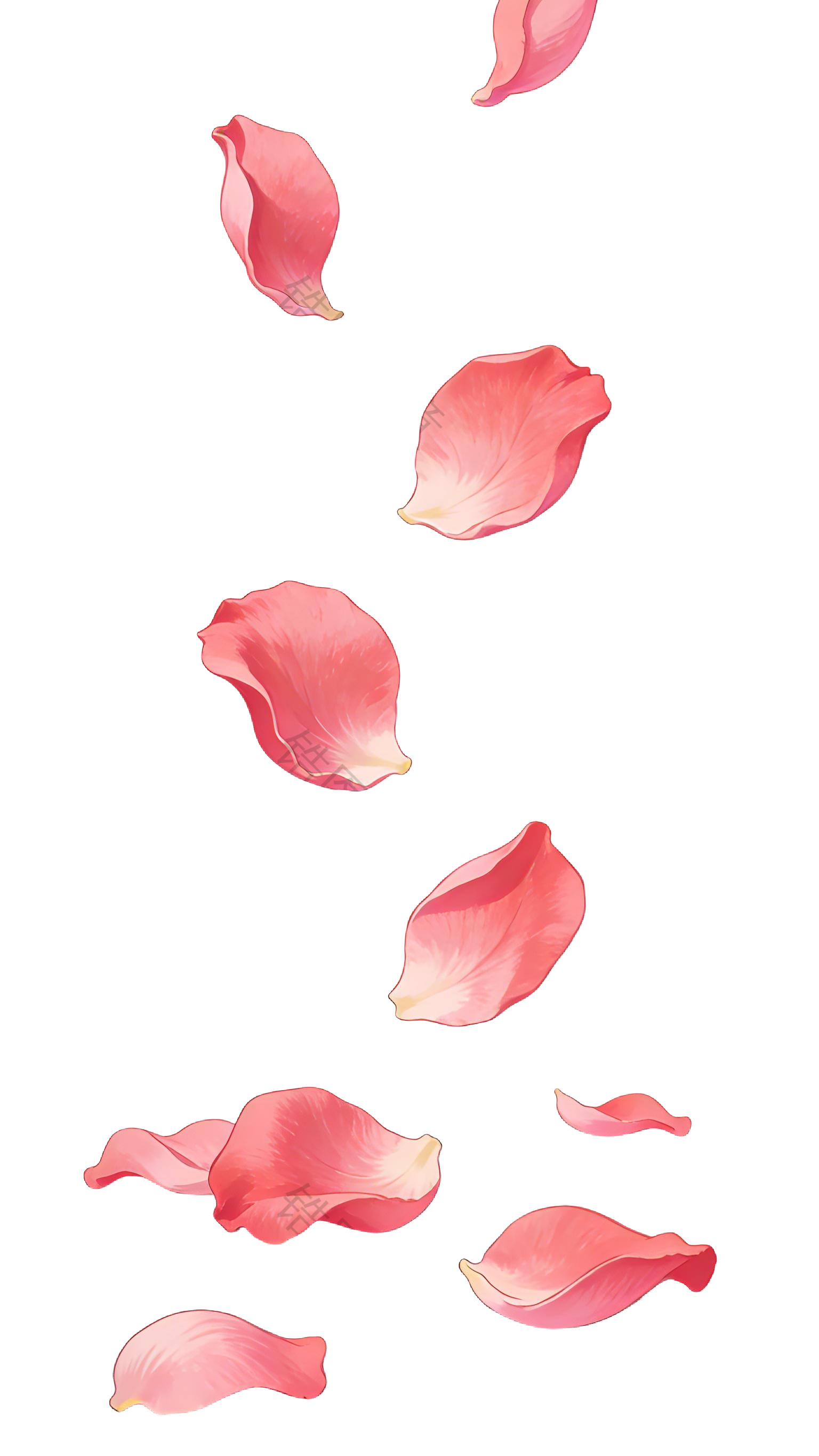 飘落的玫瑰花瓣插画元素