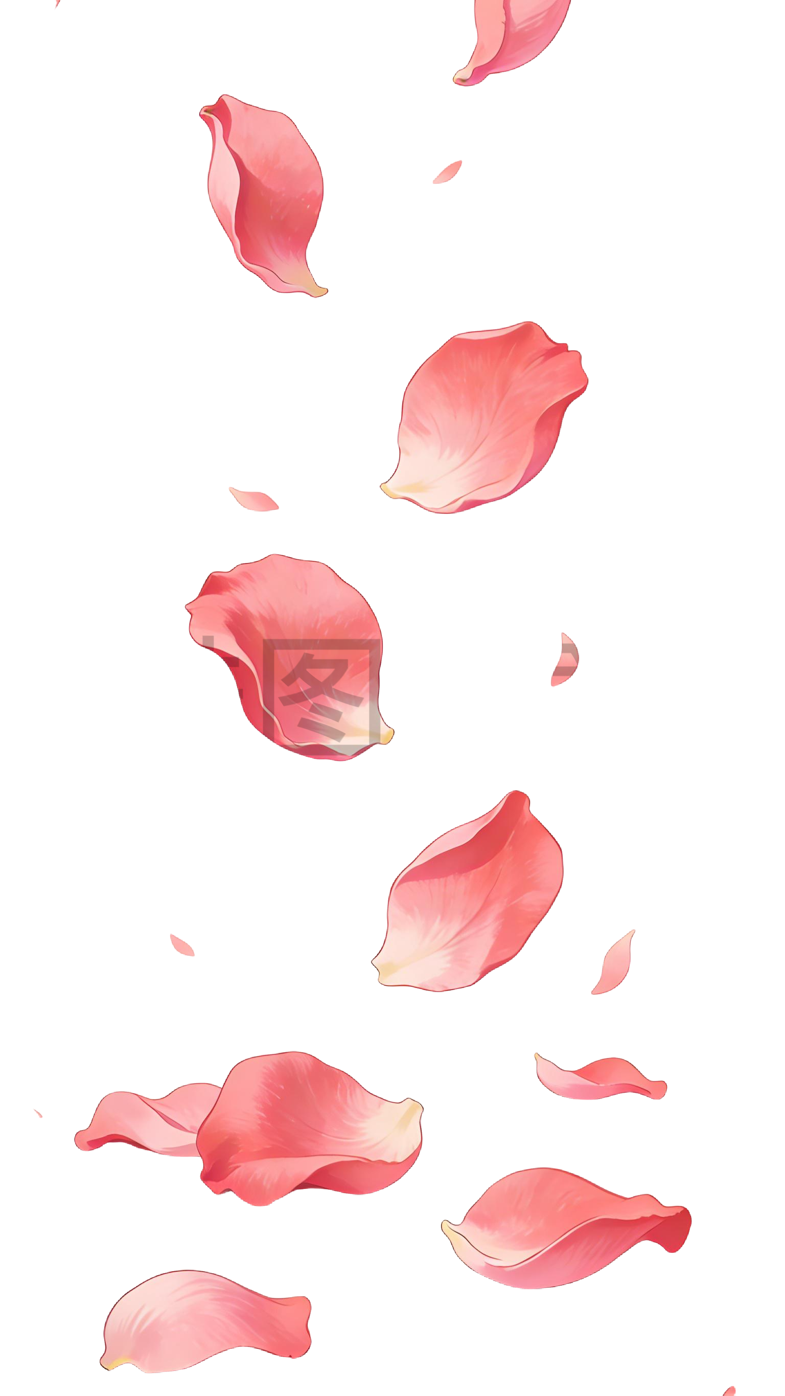 散落的玫瑰花瓣插画元素