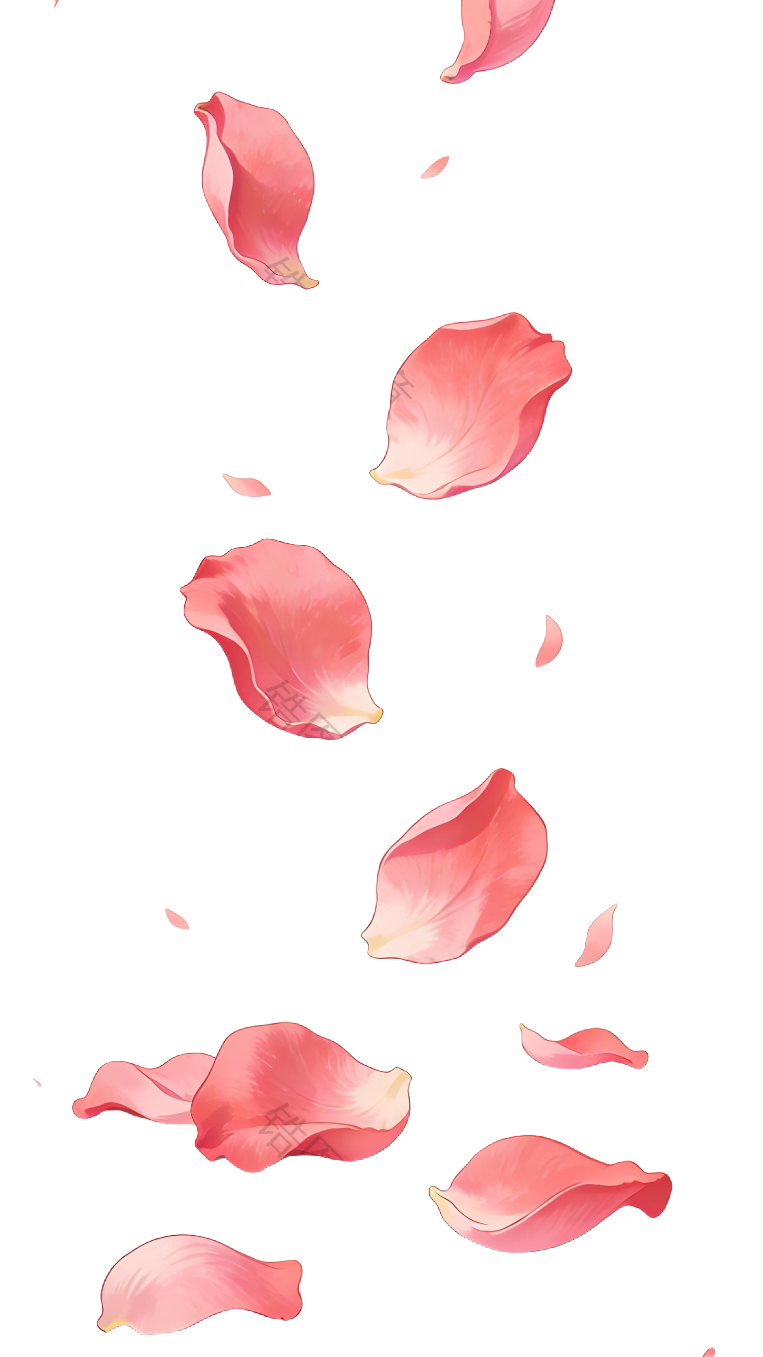 散落的玫瑰花瓣插画元素