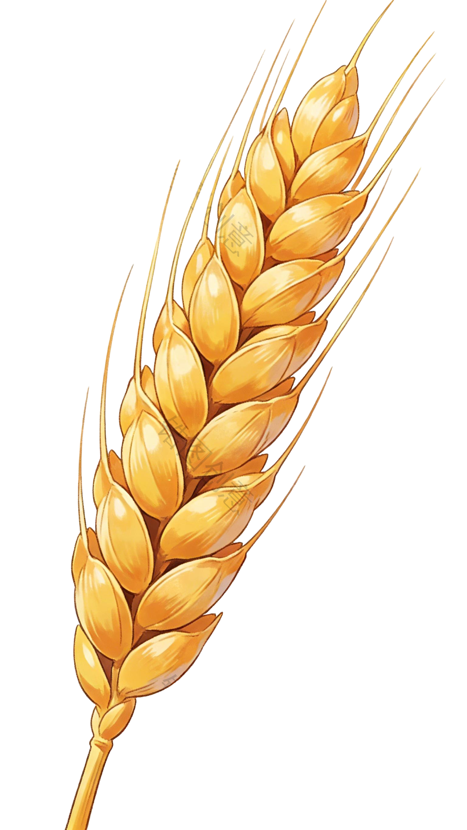 黄色成熟麦穗插画插画元素