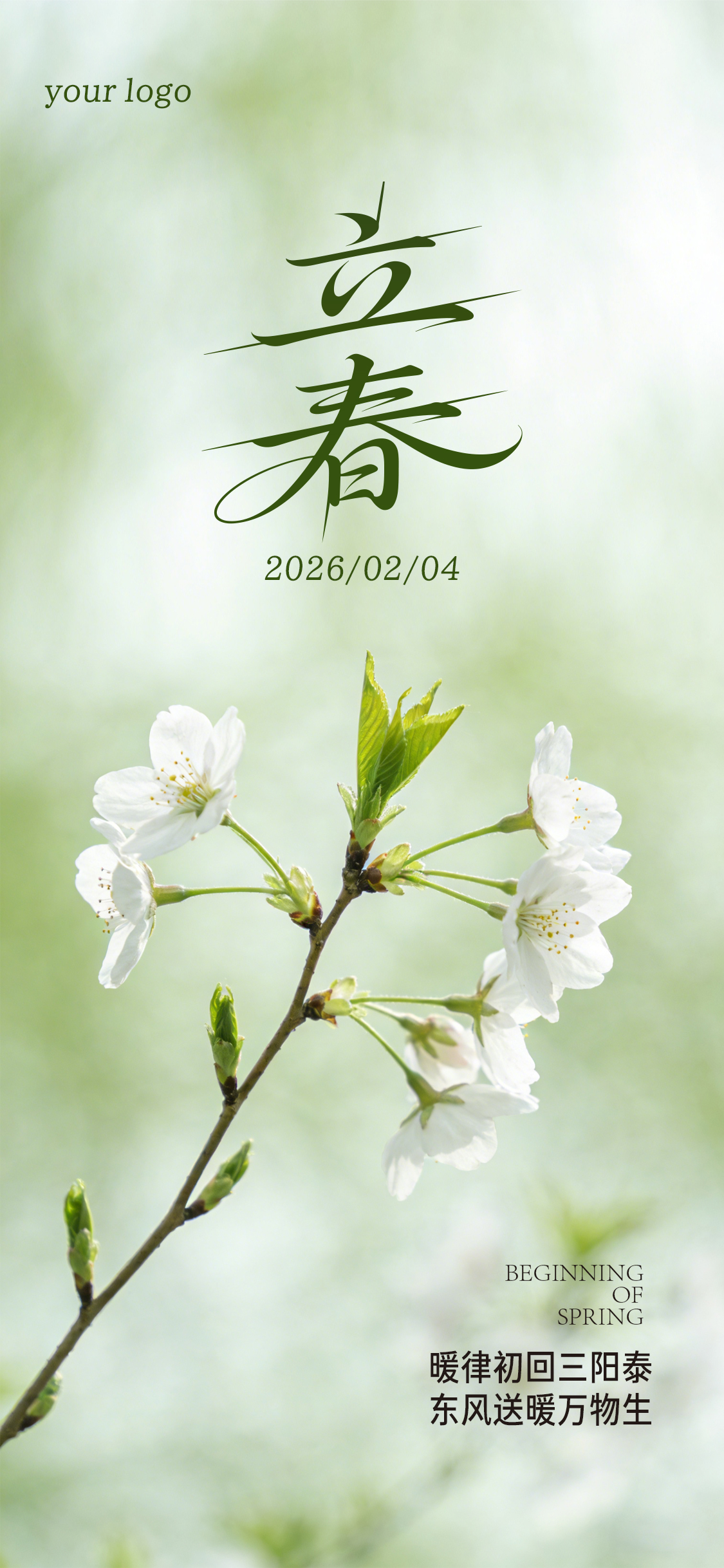 写实感立春春分节气海报